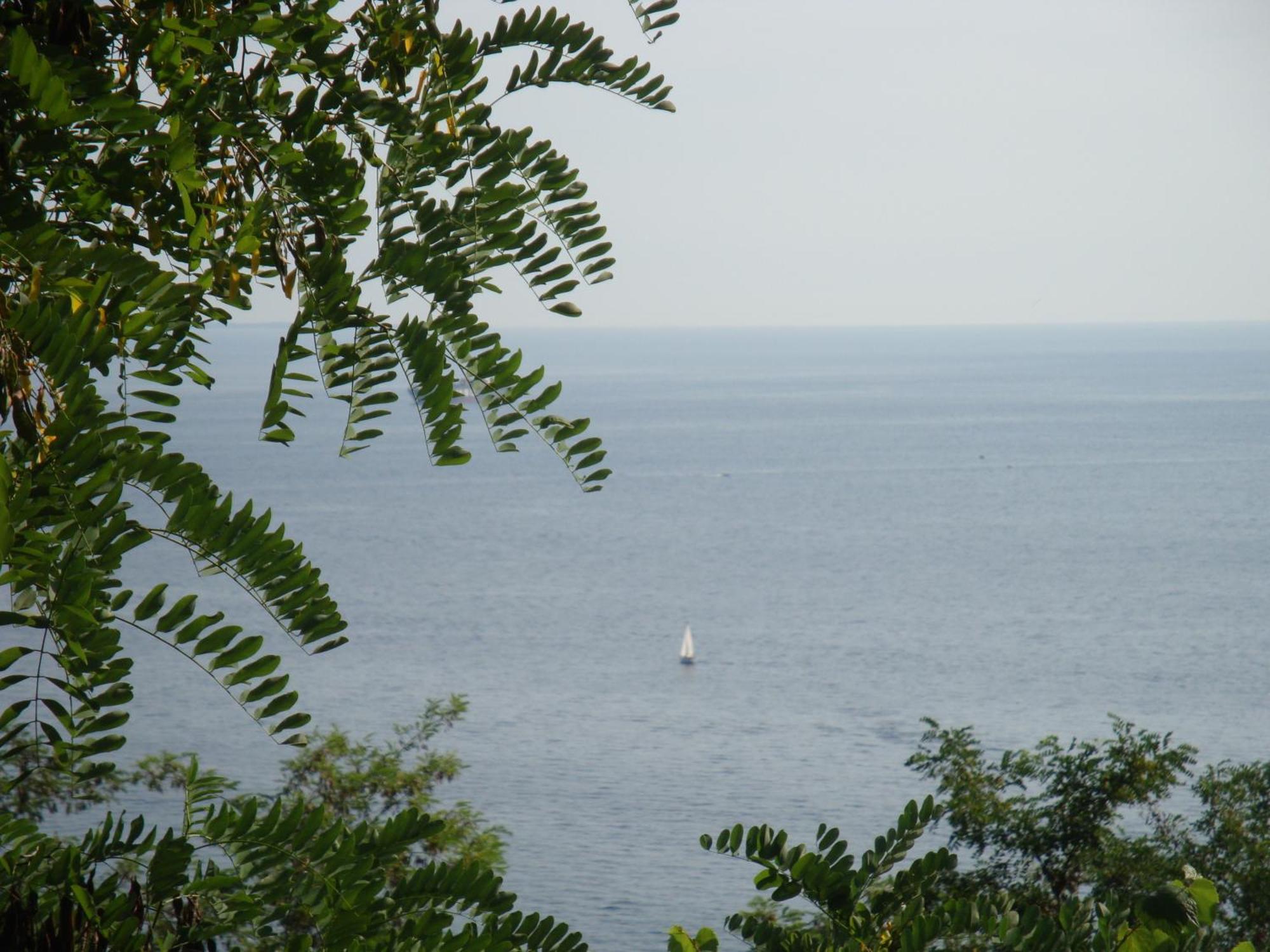 Le 5 Muse Bed & Breakfast Trieste Dış mekan fotoğraf